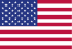 Flag of United States of America