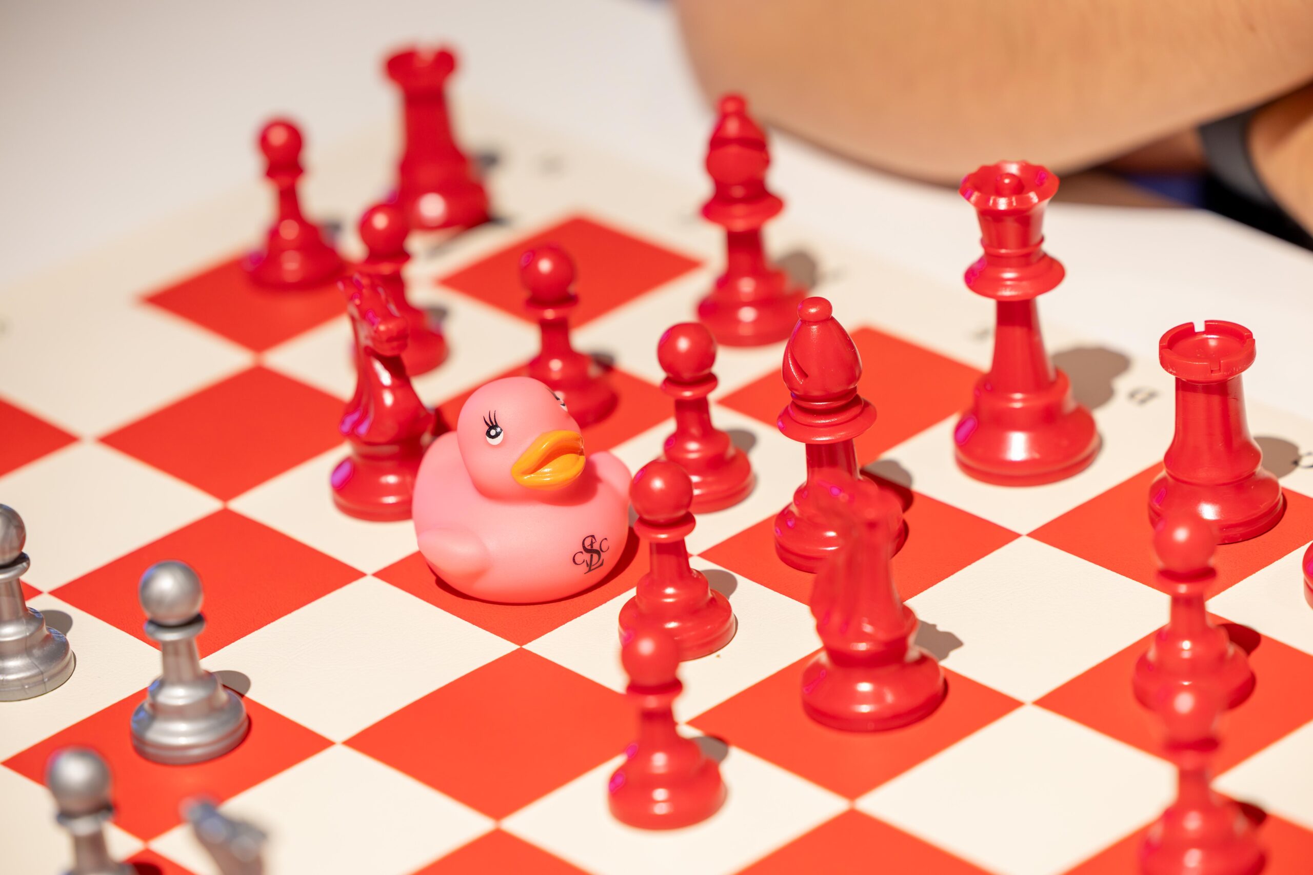 Photo - Duck, Duck, Chess 2026